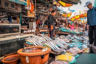 mejores mercados street food busan