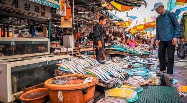 mejores mercados street food busan